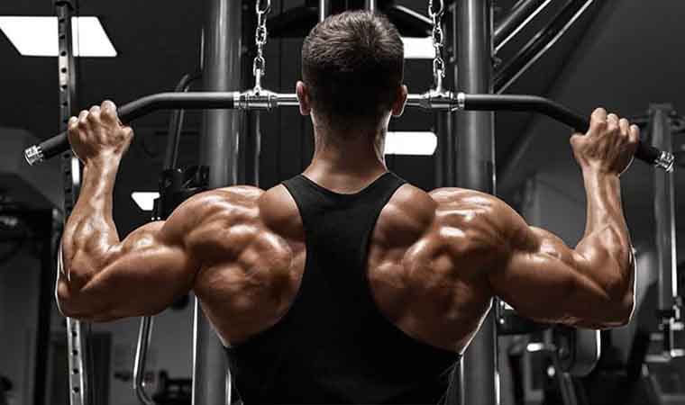 اشتراک ماهانه برنامه بدنسازی مبتدی - Image 2